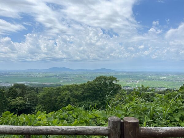 護摩堂山にあじさいを見に行きました