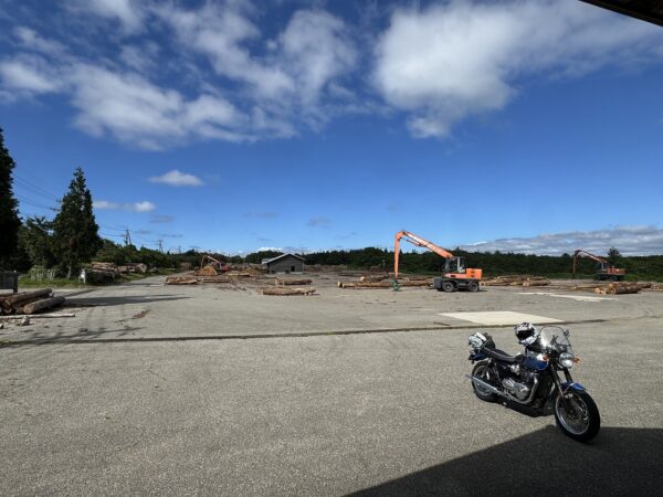 八ヶ月が経ちました。