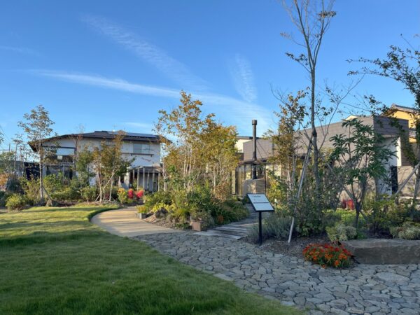 期間限定【ハヤシライス】がランチメニューに新登場！！