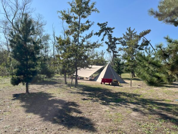北区にある海辺の森でキャンプ