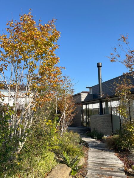 紅葉とミルフィーユ