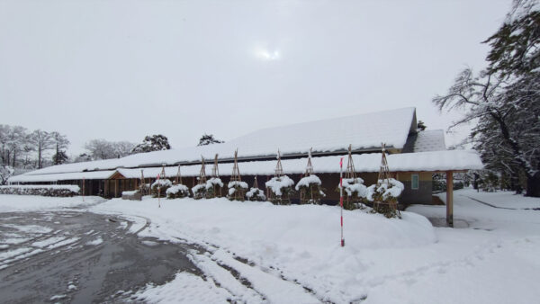 建築探訪～小林古径邸