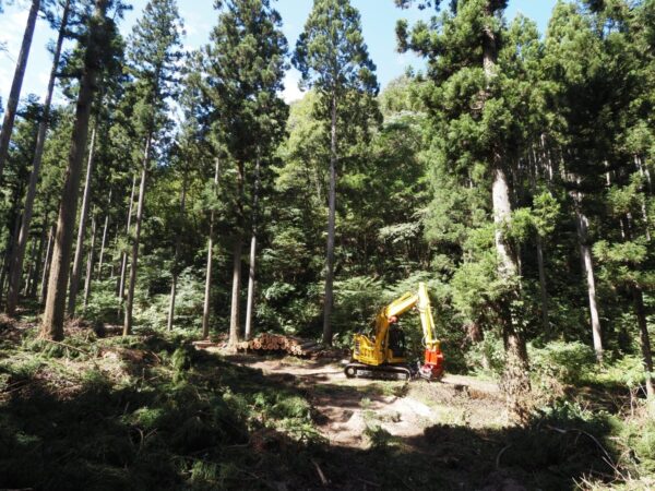 ノモトホームズが新潟県産材にこだわる理由