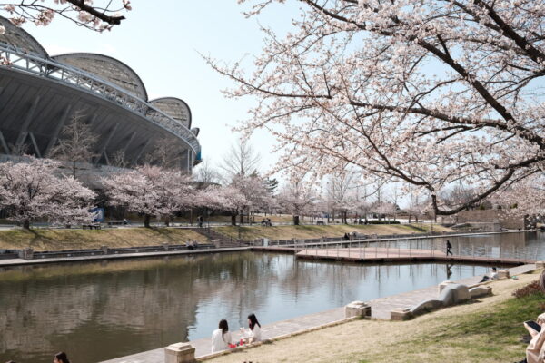 HARUMACHI coffee スポーツ公園での出店は叶いませんでした・・・涙