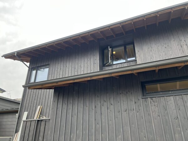 ほこりは何処から？