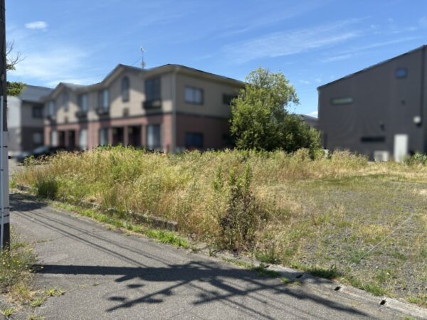 「大通黄金の家」草刈り・樹木伐採