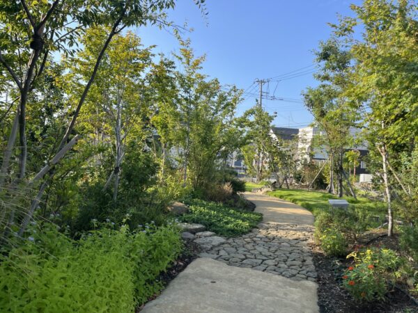 グランドカバー