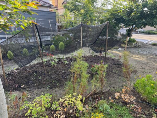 HARUMACHI coffee ひまわり日記