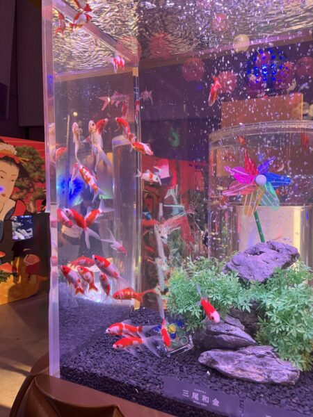 「錦鯉・金魚アクアリウム in ときメッセ」に行ってきました！