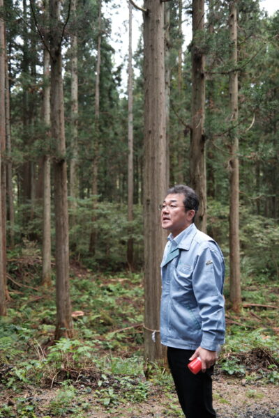 新潟県産材の伐採ツアーを開催しました！