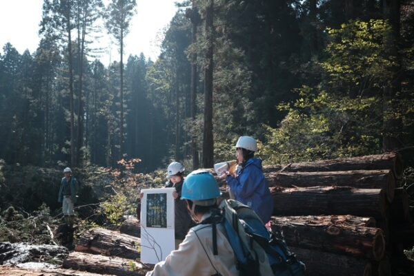 新潟県主催　阿賀町長谷地区　伐採見学ツアーに参加してきました！
