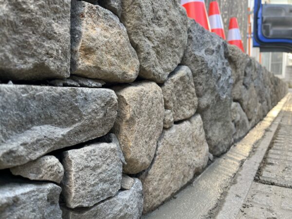 牡丹山の家　植栽が入りました