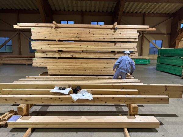 村上市（旧山北町）での木材検品について