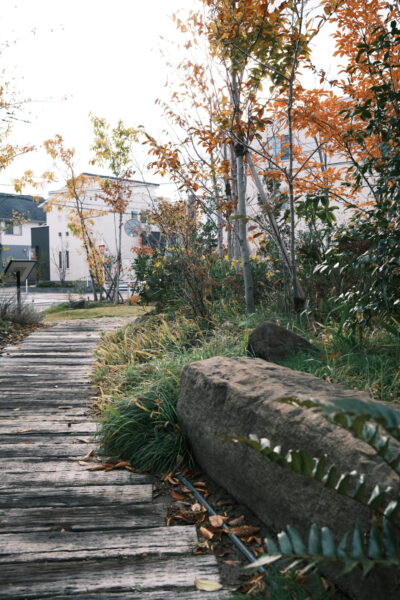 これからの家づくりは 「性能 × 心地よさ × 物語」で決まる