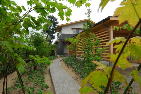 植栽のｽｽﾒ (800x600) (1)