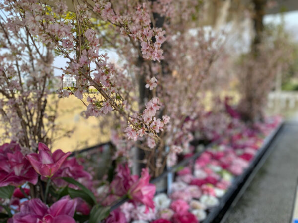 武蔵野坐令和神社の手水