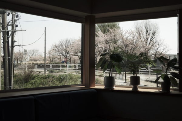 「関屋金衛町の家」上棟