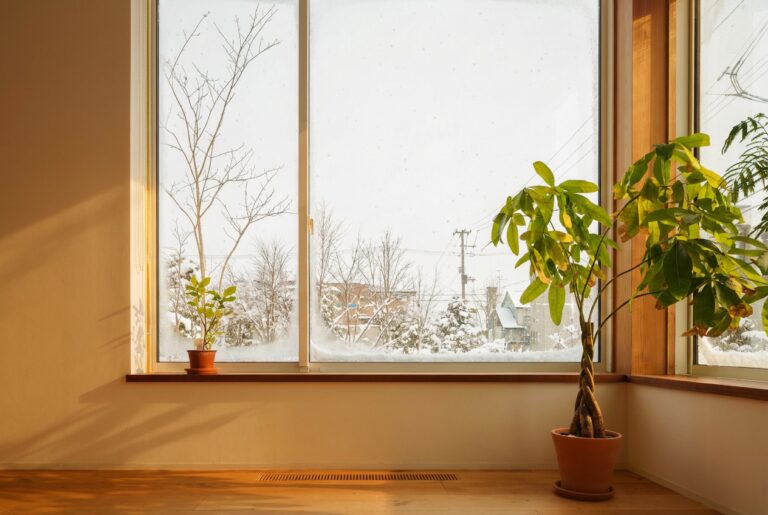 新春モデルハウス自由見学DAY