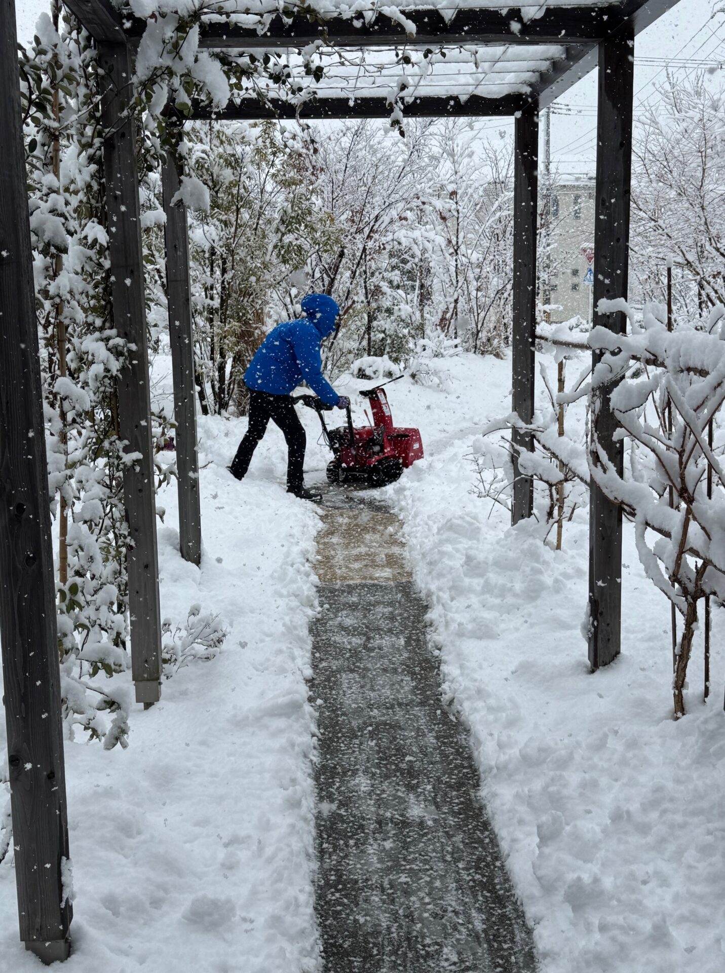 雪かき