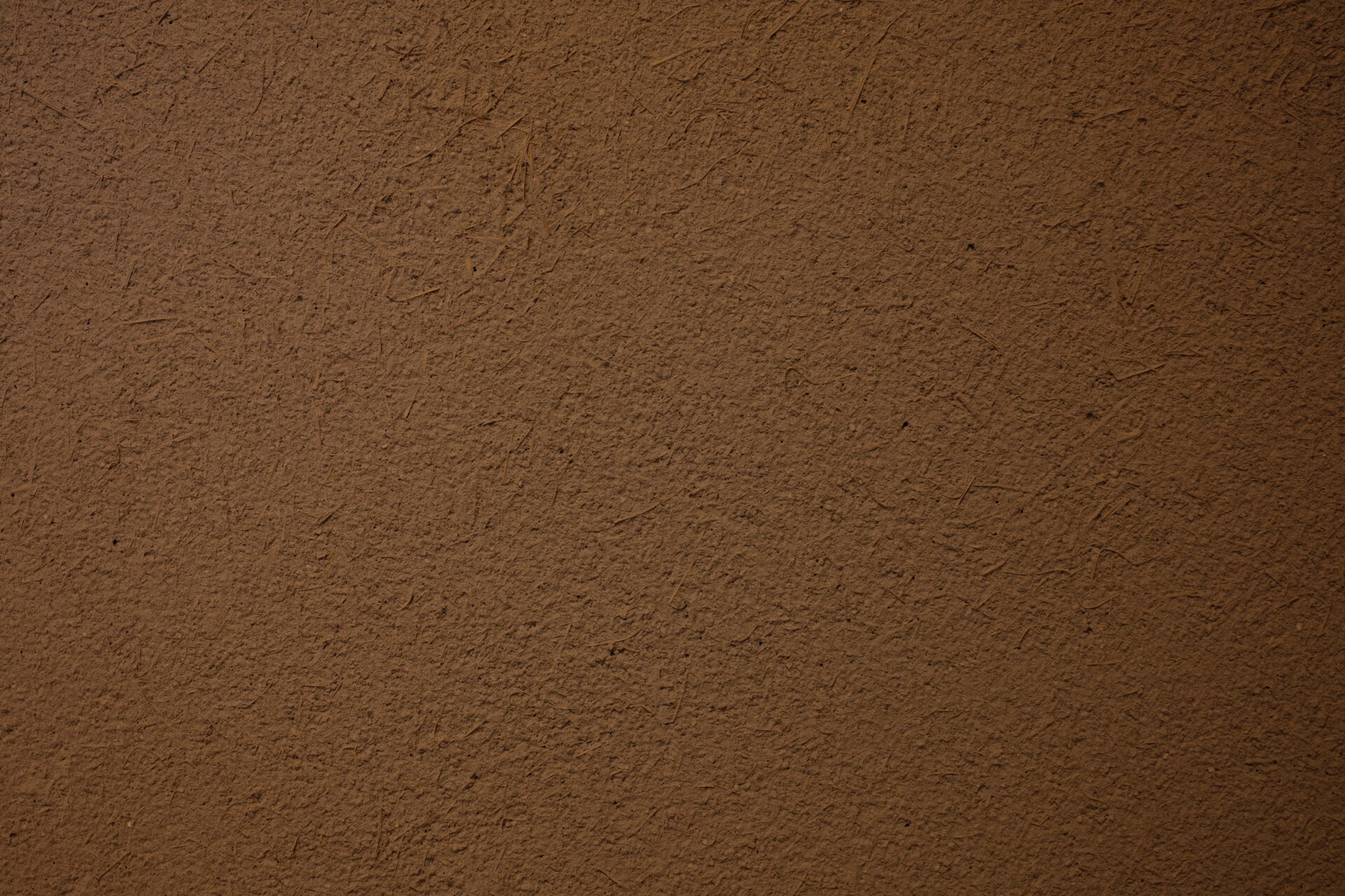 坂井東のコートハウス