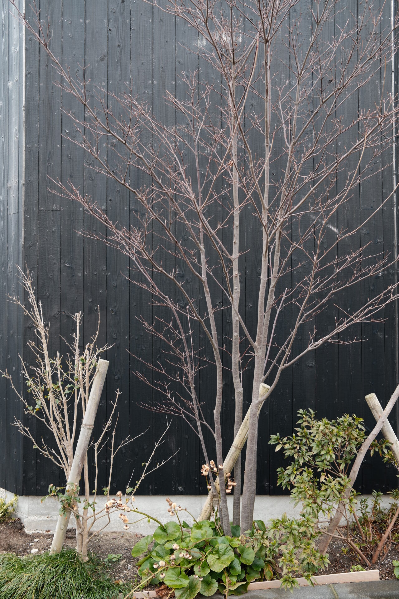 焼杉5年後の経年変化