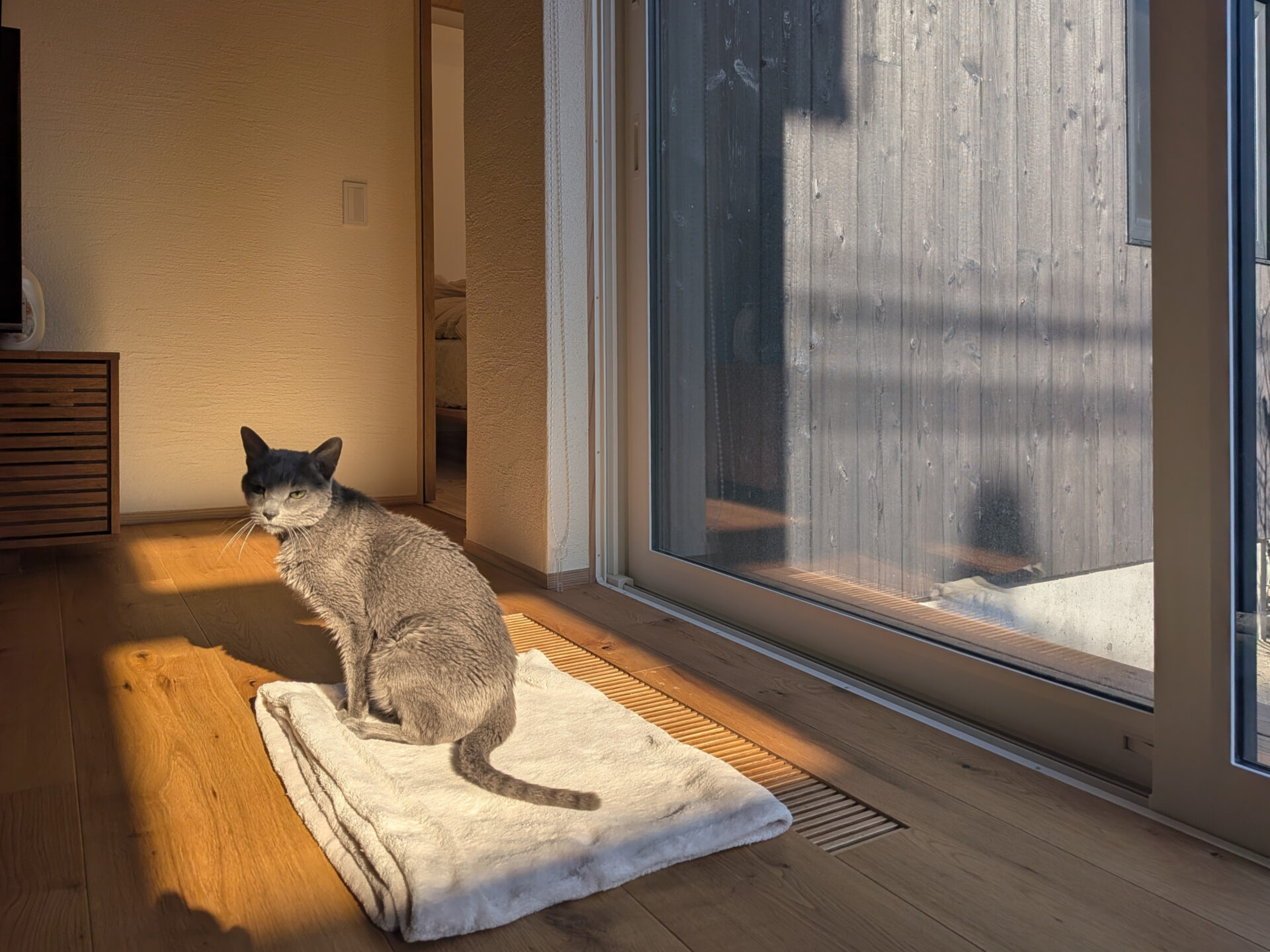 メンテナンスにお邪魔させてもらいました