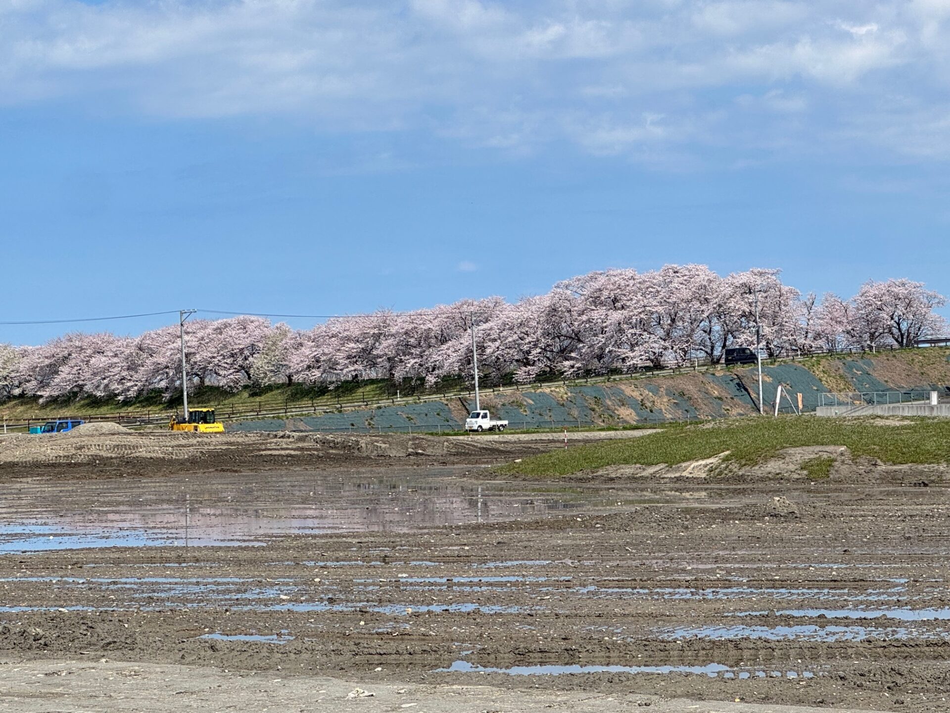 好きでこの道に