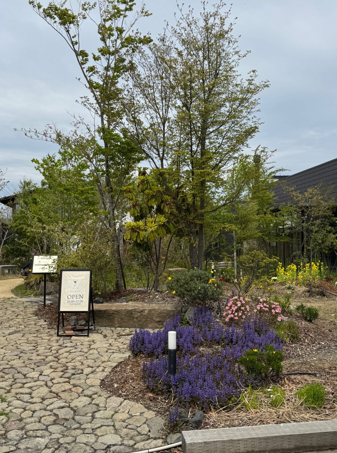 HARUMACHIガーデン