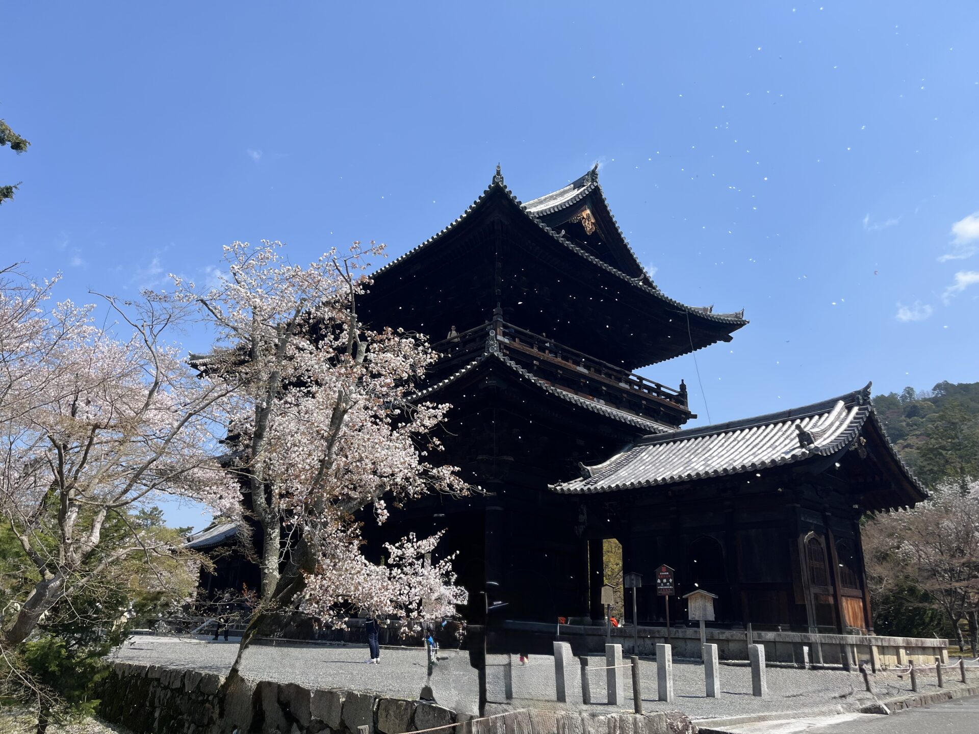 京都の魅力を歩いて味わう1日目の旅