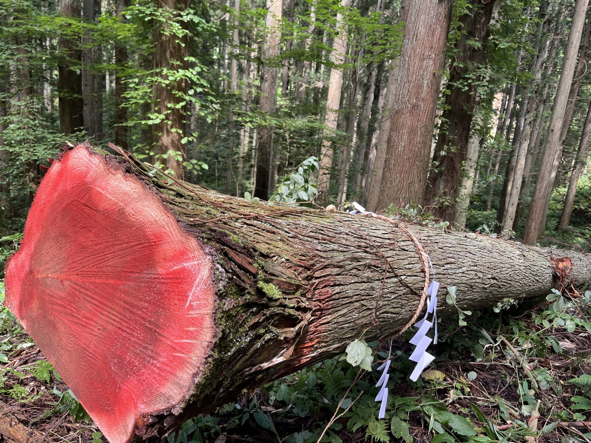 【番外編④】家ができる過程を大切にする