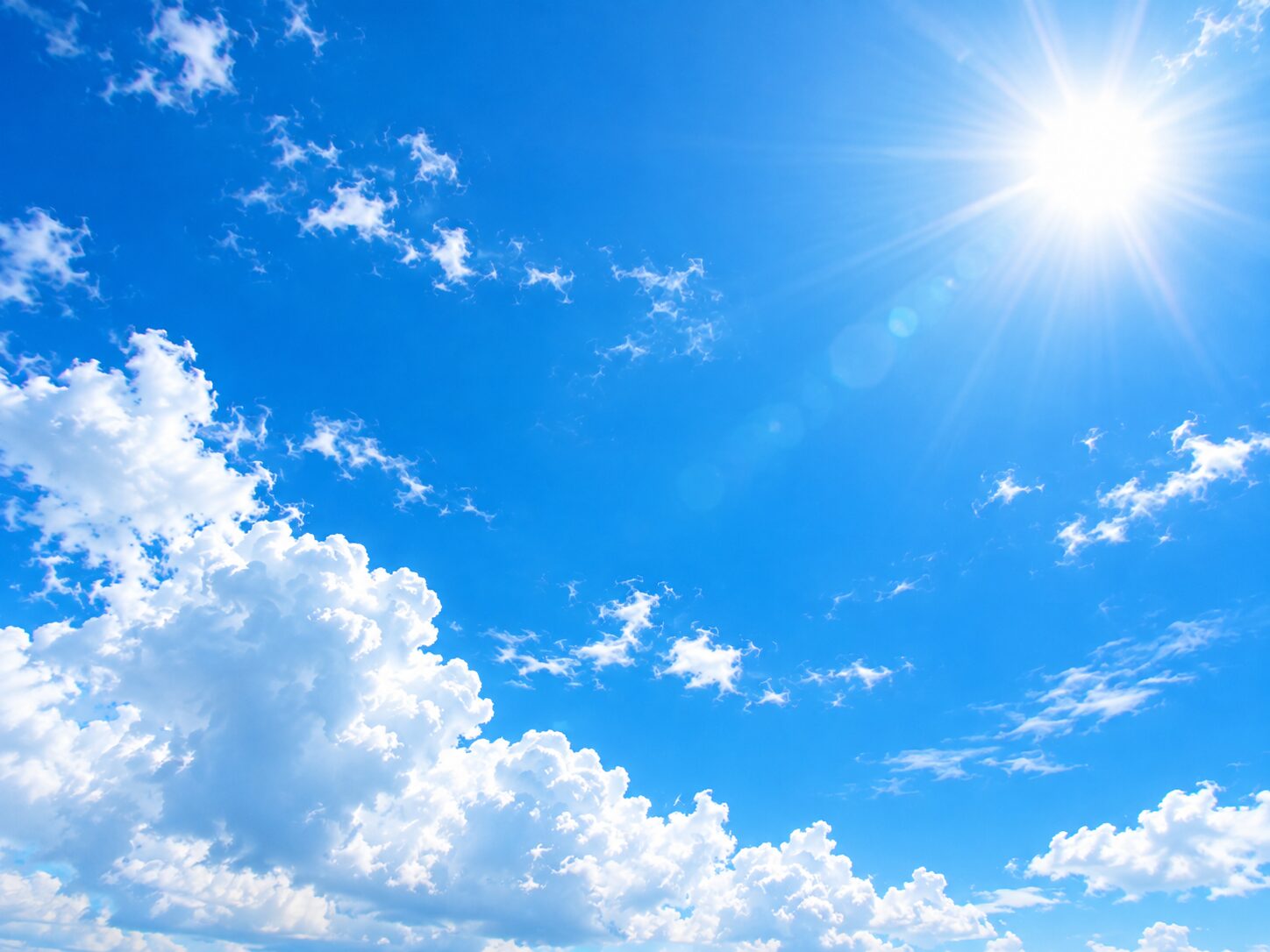 今年の夏はどうだったのか？
