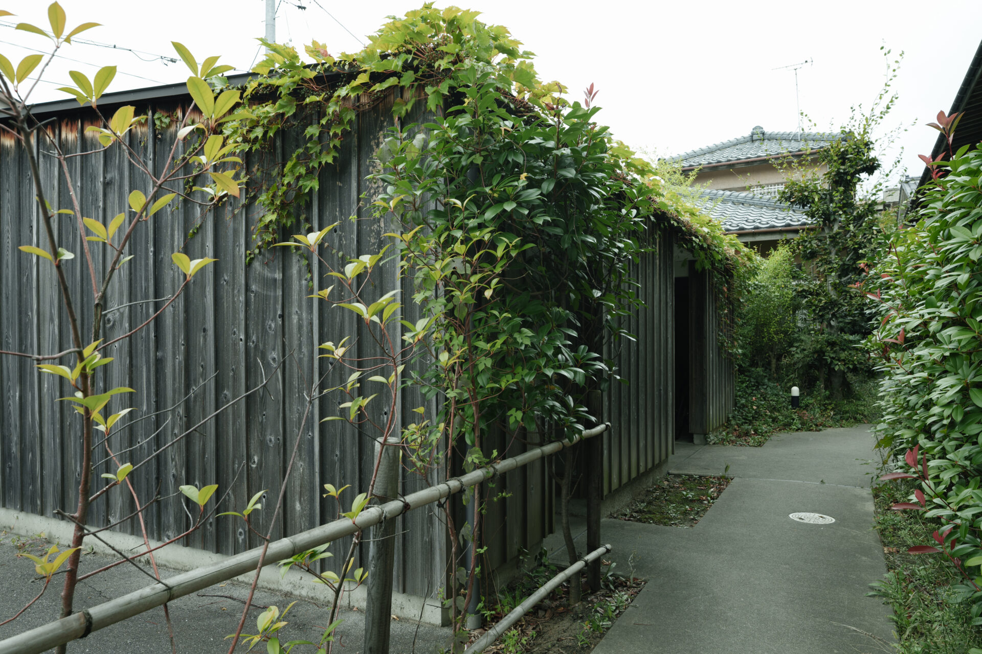 Apartment十三