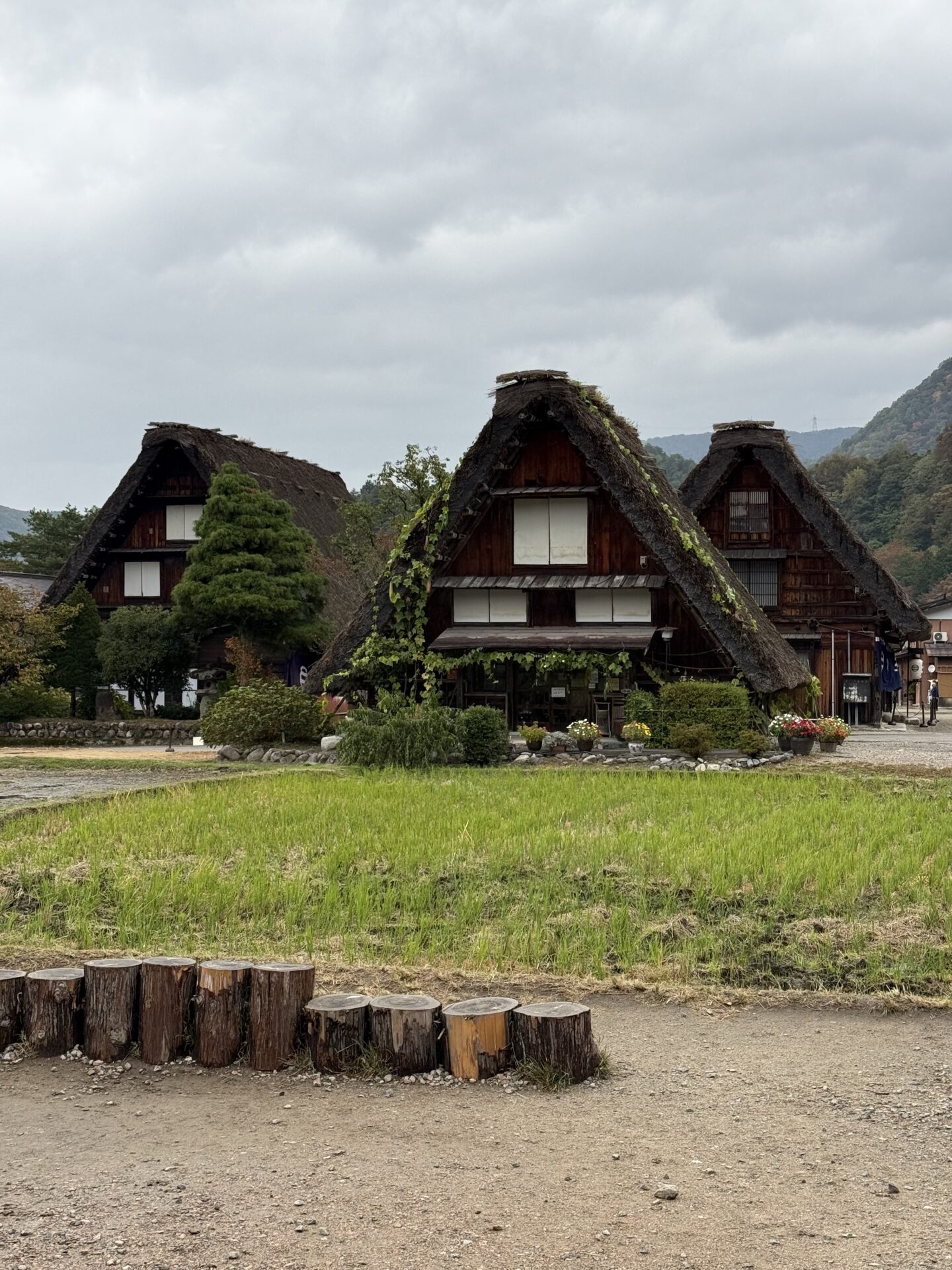岐阜旅行に行ってきました